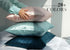 100% Mulberry Silk Pillowcase for Hair and Skin, 22 Momme Pure Natural Silk Pillow Case Both Sided with Zipper, Pillow Cover for Women Mom Men (Li...