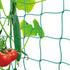 Trellis Netting, Heavy-Duty Garden Grow Netting for Climbing Plants, Outdoor Indoor Net for Cucumber, Tomatoes, Beans, Clematis, Fruits & Vegetabl...