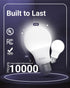 Sunco Lighting 12 LED A19 Light Lamp Bulbs 9W Equivalent 60W, CRI91 E26 Base 3000K White for Living Room Dining Area Bedroom Refrigerator, 850 Lum...