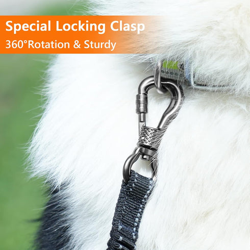 NTR Dog Leash, 3/4/5/6/8/10/15/20/26/30/36/50/100FT Dog Lead with Upgrade Swivel Lockable Hook & Ergonomic Padded Handle, Reflective Bungee Long T...