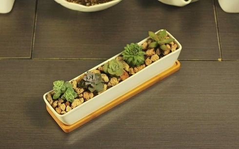 10.8inch White Ceramic Long Rectangular Succulent Planter Pot,Cactus Flower Planters Pots Container for Office,Window,Kitchen and Balcony...