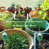 Soil Moisture Meter, Soil Moisture Monitor for House Plants, Soil Hygrometer Moisture Sensor for Indoor & Outdoor, Garden, Farm, Lawn Plant Care, ...
