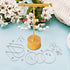 YaeYur 372Pcs Beading Hoop Earrings for Jewelry Making Earring Finding Hypoallergenic Teardrop Round Beading Hoop Earring Hooks and Backs Open Jum...