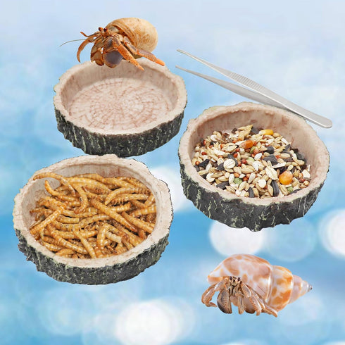 3 Pack Reptile Water Dish Food Bowls, Hermit Crab Food Dish, Bearded Dragon Water Bowl, Suitable for Hermit Crab Bearded Dragon Lizard Gecko Torto...