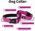 IVY&LANE Reflective Dog Collar and Leash Set,Adjustable Neoprene Padded Dog Collars, Breathable Nylon Pet Collar for Small Medium Large Dogs, 5FT ...