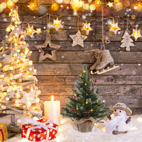 MEETYAMOR 2 FT Mini Christmas Tree, 24" PE Prelit Small Artificial Tabletop Snow Flocked Christmas Trees Decor with 20 Lights Timer, Outdoor Indoo...