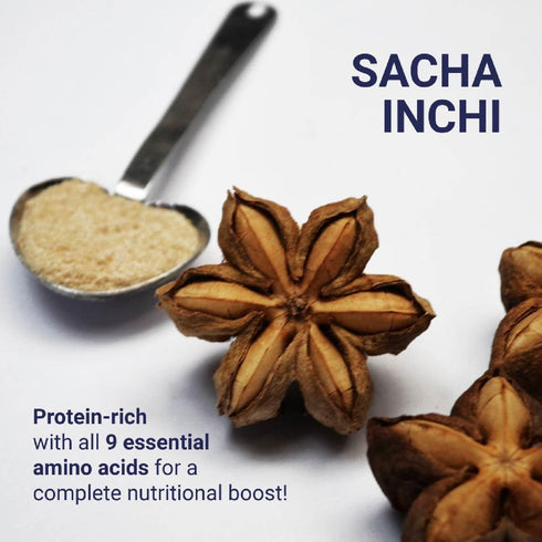 Organic Sacha Inchi Plant Based Protein Powder - by Aliksir - 100% Natural, Vegan, Gluten-Free, 9 Grams Protein, Low Carb, 9 Essential Amino Acids...