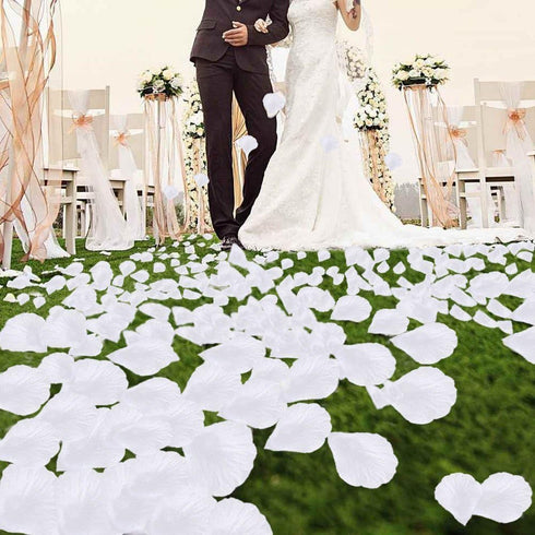 Artificial Silk Rose Petals for Romantic Night, Wedding, Party, Anniversary Flower Decorations (Light Blue&White, 3000 PCS)...