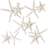 Nautical Crush Trading Starfish & Knobby Starfish Decor - (5) White Starfish 4-6" and (5) Knobby Starfish 2-3.5" - Beach Wedding Decor - Coastal P...
