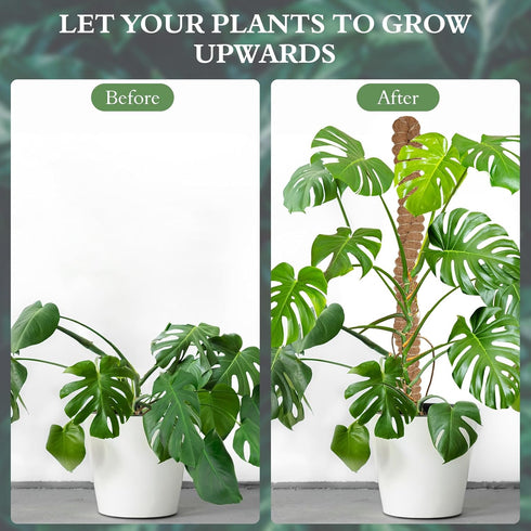 2 Pack 25 Inch Coco Coir Moss Poles for Climbing Indoor Plants - Handmade Plant Support for Creepers to Grow Upwards...
