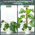 2 Pack 25 Inch Coco Coir Moss Poles for Climbing Indoor Plants - Handmade Plant Support for Creepers to Grow Upwards...