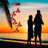 Solar Red Bird Wind Chimes, Color Changing Solar Powered Red Cardinal Bird Wind Chime Wind Moblie LED Light, Mobile Hanging Wind Chimes Portable O...