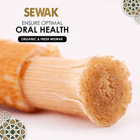 Natural Miswak, All Natural Traditional Tooth Brush for Oral Health, Hygiene, Fresh Breath, Light Weight, Vacuum Sealed (Pack of 6)...