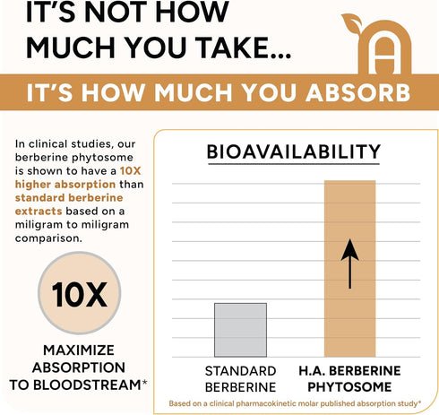 High Absorption Berberine Phytosome - 10X More Bioavailable | Weight Management & Metabolic Support for Women & Men | Ceylon Cinnamon + Green Tea ...