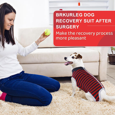Recovery Suit for Dogs, Pet Recovery Suit After Surgery, Male Female Dog Neuter, Abdominal Surgical Suit, Striped Puppy Doggy Onesie Snugly Vest f...