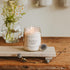 Sweet Water Decor Rose Candle - Jasmine Candle with Pink Peppercorn Scent - Rose Scented Candles 100% Cotton Wick - Bergamot Candle with 40 Hours ...