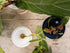 Propagation Cone for Supporting and Displaying New Plant Cuttings - Pack of 3 (Deep Blue)...