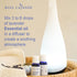 Bleu Lavande - Premium True lavender essential oil - Therapeutic Grade, 100% Pure & Natural, Premium & Certified Quality - Vegan & Cruelty free - ...