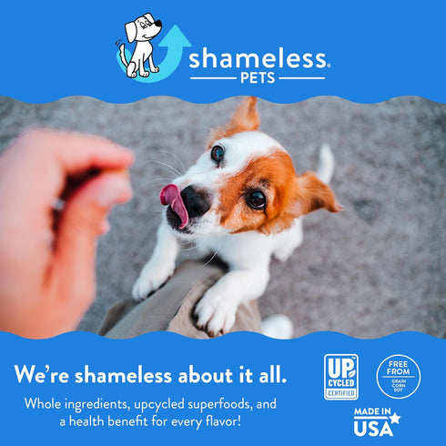 Shameless Pets Soft-Baked Dog Treats, Blueberried Treasure - Natural & Healthy Dog Chews with Mint for Immune Support - Dog Biscuits Baked & Made ...