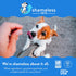 Shameless Pets Soft-Baked Dog Treats, Blueberried Treasure - Natural & Healthy Dog Chews with Mint for Immune Support - Dog Biscuits Baked & Made ...