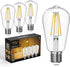 Dimmable Edison LED Light Bulbs 60 Watt Equivalent, 6W 2700K Warm Light E26 LED Bulbs for Table Lamp Bathroom Vanity Outdoor Wall Light ST58, 750L...