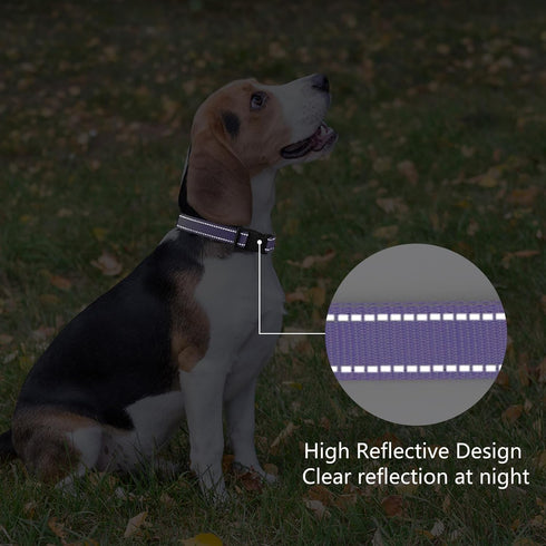 Reflective Dog Collar Padded with Soft Neoprene Breathable Quick Release Basic Dog Collars for Large Dogs Purple Girl...