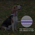 Reflective Dog Collar Padded with Soft Neoprene Breathable Quick Release Basic Dog Collars for Large Dogs Purple Girl...