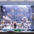 Quickun Aquarium Air Stone Bubble Wall Tube Oxygen Diffuser Bar Decor Accessory for Fish Tank 28 Inch Length,1PCS...
