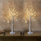 EAMBRITE Lighted Birch Tree Spring Decorations for Home, Christmas Decorations Indoor, 2Pack 24 LED Battery Operated/USB Tabletop Mini Small Artif...