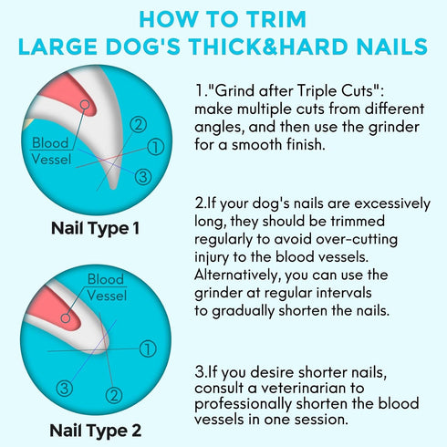 2-in-1 Dog Nail Clippers & Grinder, 2 LED Lights and Safety Guard Dog Nail Grinder, Quiet Sharpest Advanced Dog Nail Trimmers for Large Medium Sma...
