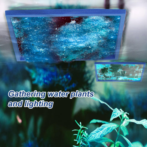 5pcs Aquarium Floating Plant Rings, Square Foam Fish Feeding Corral Fish Tanks Food Rings Floating Plant Feeding Ring for Keeping Floating Plants ...