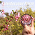 Andoer Kaleidoscope Glass Prism, 77mm Kaleidoscope Prism Camera Glass Filter Variable Number of Subjects SLR Photography Accessories (Kaleidoscope...
