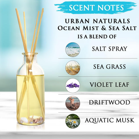 Urban Naturals Ocean Mist & Sea Salt Reed Diffuser Set | Made with Essential Oils & Real Botanicals | Decorative Air Freshener for Large Rooms | B...