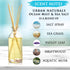 Urban Naturals Ocean Mist & Sea Salt Reed Diffuser Set | Made with Essential Oils & Real Botanicals | Decorative Air Freshener for Large Rooms | B...