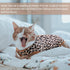 SAWMONG Cat Recovery Suit After Surgery Recovery Shirt Breathable E-Collar Alternative Non-Lick Pet Body Suit,Brow Leopard L...