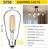 Vintage LED Edison Bulbs 6W, Equivalent 60W Incandescent, Warm White 2700K, ST58 Antique LED Filament Bulbs with 90+ CRI, E26 Medium Base,Dimmable...