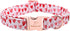 Valentine's Day Dog Collar for Medium Dog,White Red Pink Love Male Dog Collar with Safety Metal Buckle Adjustable Puppy Collars for Small Large Bo...