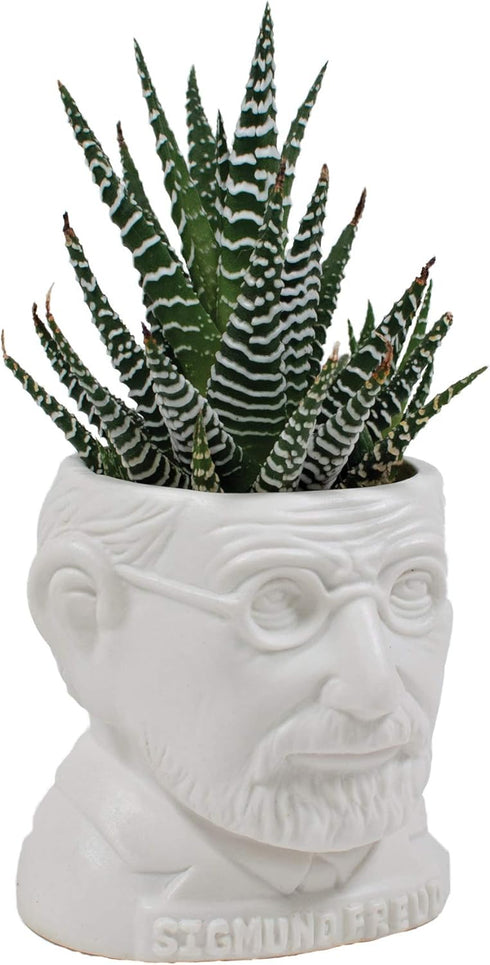 The Unemployed Philosophers Guild Sigmund Freud Bust Ceramic Planter...