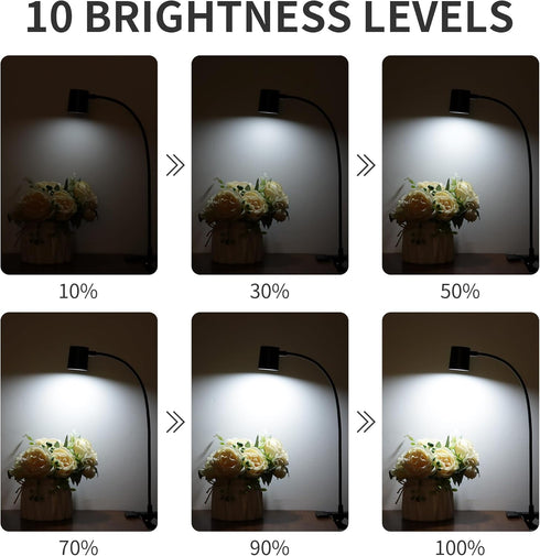 Dott Arts Desk Lamp,USB Clip On Light with 3 Color Modes,LED 10 Levels Brightness Reading Light, 360°Gooseneck Book Light,Eye-Care Reading Lamp fo...