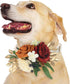 Rinlong Flower for Collars Fall Wedding Flower Dog Collar Charms Female Puppy Cat Grooming Accessory | Burgundy Burnt Orange...