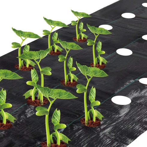 Agfabric Weed Barrier Landscape Fabric 4x6ft with Planting Holes, Hole Diameter 4", Hole Spacing 8", Row Spacing12 on Center...
