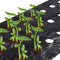 Agfabric Weed Barrier Landscape Fabric 4x6ft with Planting Holes, Hole Diameter 4", Hole Spacing 8", Row Spacing12 on Center...