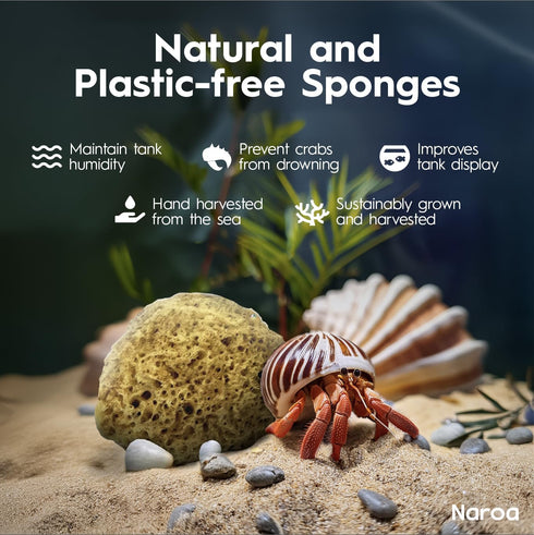 Natural Hermit Crab Sponges | Unbleached Sea Sponge for Water Drinking Safety | Aquarium Decor Balance Tank Humidity | Crab Supplies Accessories 5...