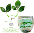Fish Leaf Pad Fish Tank Accessories Aquarium Décor Simulating 3 pcs Adjustable Plastic Plants Betta Natural Habitat Playing Spawn Breed Rest Bed w...