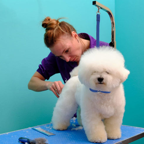 18 Pcs Pet Dog Grooming Loops Nylon Restraint Noose Adjustable Pet Straps Fixed Dog Cat Safety Rope Grooming Supplies for Pet Grooming Table Batht...