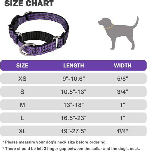 Martingale Collar for Dogs Reflective Nylon Dog Collar with Quick Release Buckle Adjustable Training No Slip Dog Collar (Medium, Purple)...