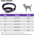 Martingale Collar for Dogs Reflective Nylon Dog Collar with Quick Release Buckle Adjustable Training No Slip Dog Collar (Medium, Purple)...