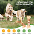 2 Pack Indestructible Dog Bones Chew Toys for Aggressive Chewers, Long Lasting Nylon Bone Tough Durable Dog Toys Puppy Toys Teeth Cleaning for Med...