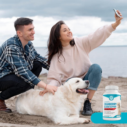 Wanderfound Pets Ultimate Cranberry Bladder UTI Support Supplement for Dogs - Dog Urinary Tract Infection Incontinence Formula with Cordyceps Mush...