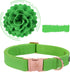 Elegant little tail Green Leather Dog Collar, Girl or Boy Durable Pet Collar, Flower Pattern Bow Tie Dog Collar Adjustable Dog Collars for X-Small...